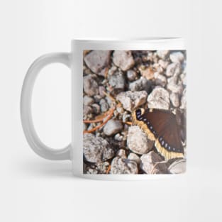 Mourning Cloak Mug